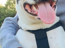 Hi I&rsquo;m delilah