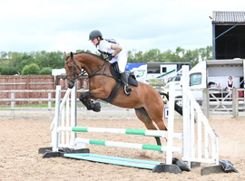 Super smart allrounder Novice ride