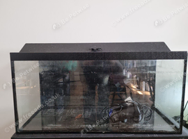 Fish tank with lid 80L