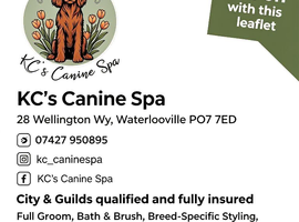 KC&rsquo;s Canine Spa - Waterlooville- Dog Grooming