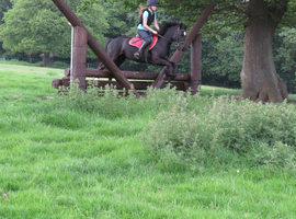 Stunning mare available end Aug