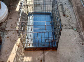 Pet Carrier/Crate