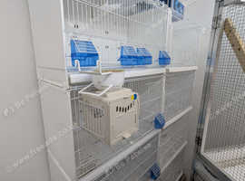 4 x 2gr 58 cm cages