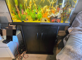 Fish tank 110 litres full set up