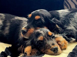 Brother and sister
