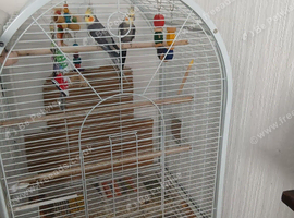 Male and female