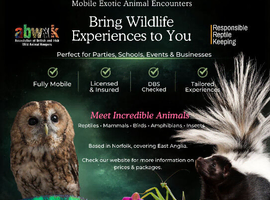 Exotic pet encounters and therapy sessions