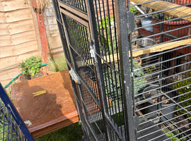 Nice parrot cage for sale