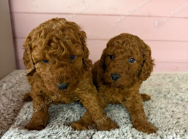 2 boys ready to go
