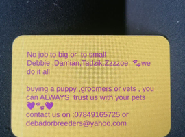 Debador poodles pet transport D.D.T.Z