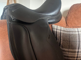 Saddle