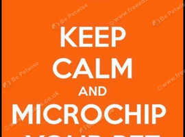 Microchipping