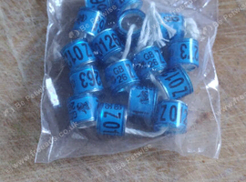 Racing pigeons rings
