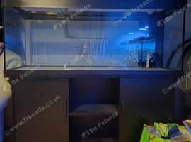 5 foot Tank and stand.