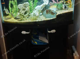 The complete 180l juvel aquarium set