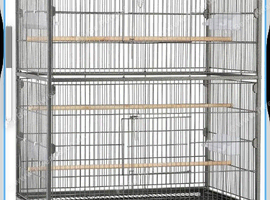 4 budgies looking for for ever home.