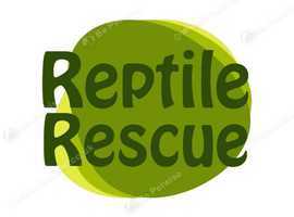 Reptile rehoming/rehabilitation
