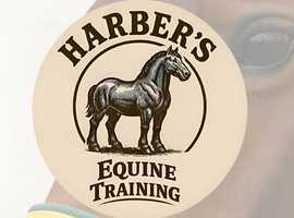 Harber's Equine Training