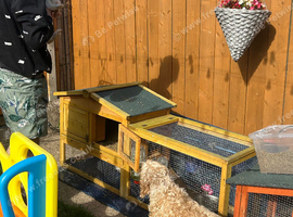 Rabbit and hutch