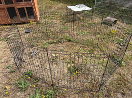 Rabbit run