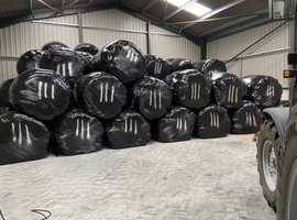 Seed Hay and Haylage for Sale 2025 harvest