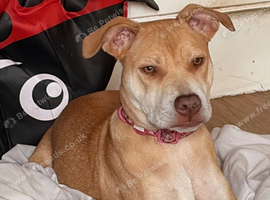 Female girl DOB 27/5/26