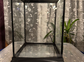 Glass Viv