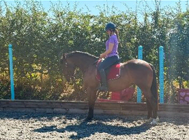 15:3HH ISH