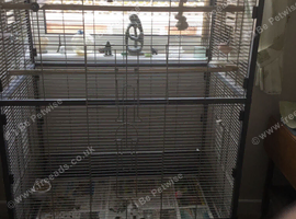 Large cage