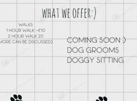 dog walking :)