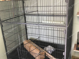 Parrot Cage for sale