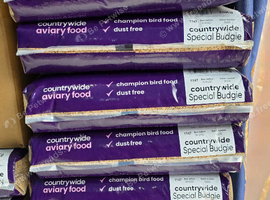 Countrywide Budgie Special
