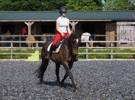 Part loan to stay at present yard North Devon