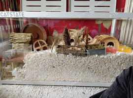 tame hamster + bucastate hamster full setup