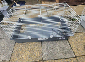 GUINEA PIG CAGE