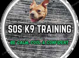 SOS K9 TRAINING