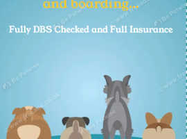 Barker doggie day care and walking services
