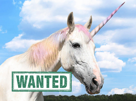 LOOKING FOR A 15hh COB/COB TYPE