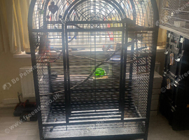 Very Large Parrot Cage