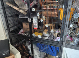 Cage and accessories
