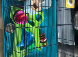 Hamster cages