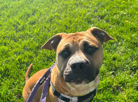 Rehome
