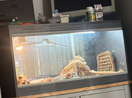 Vivarium brand new