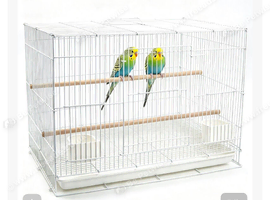 Budgies canary & finches cages Complete Setup