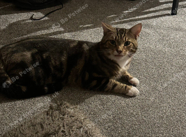 Looking to rehome