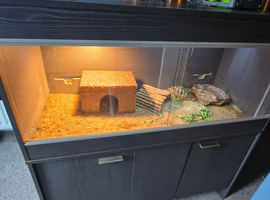 Vivarium with cabinet