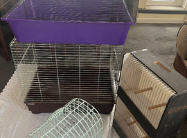 Bundle of cage