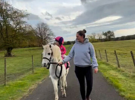 Pony Club super star leadrin pony