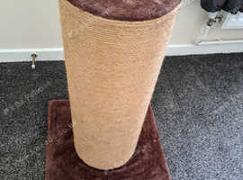 Large cat/kitten scratching post
