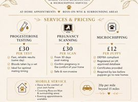 Mobile Microchipping